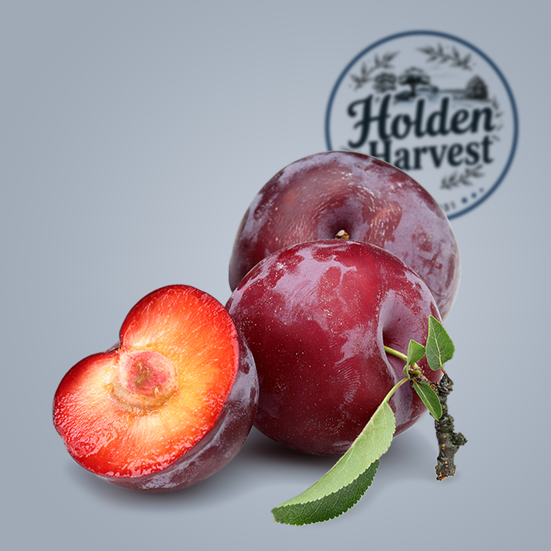 Red Plums